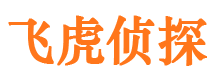 鱼台市调查公司